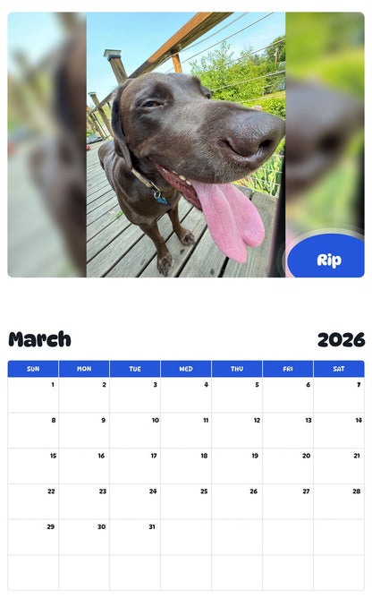November 2025 - October 2026 Rip - Pawidols Pet Calendar