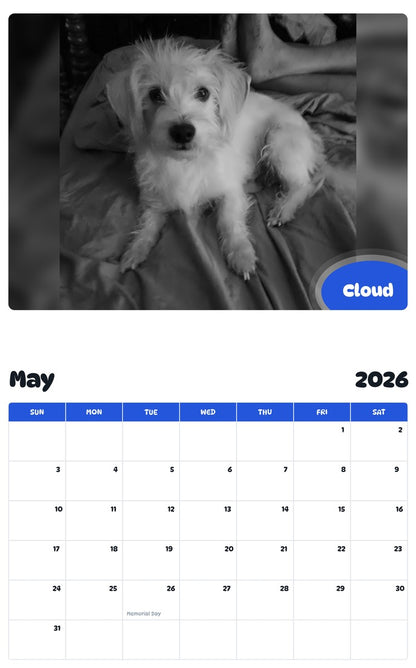 2026 - 2027 Cloud - Pawidols Pet Calendar