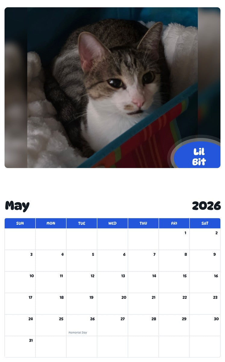 2026 - 2027 Lil Bit - Pawidols Pet Calendar
