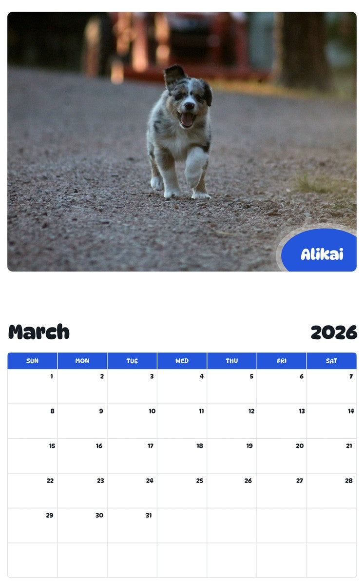 November 2025 - October 2026 Alikai - Pawidols Pet Calendar