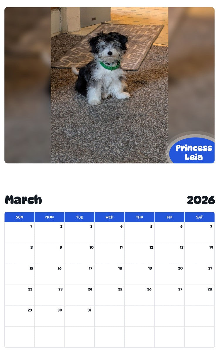 November 2025 - October 2026 Princess Leia - Pawidols Pet Calendar