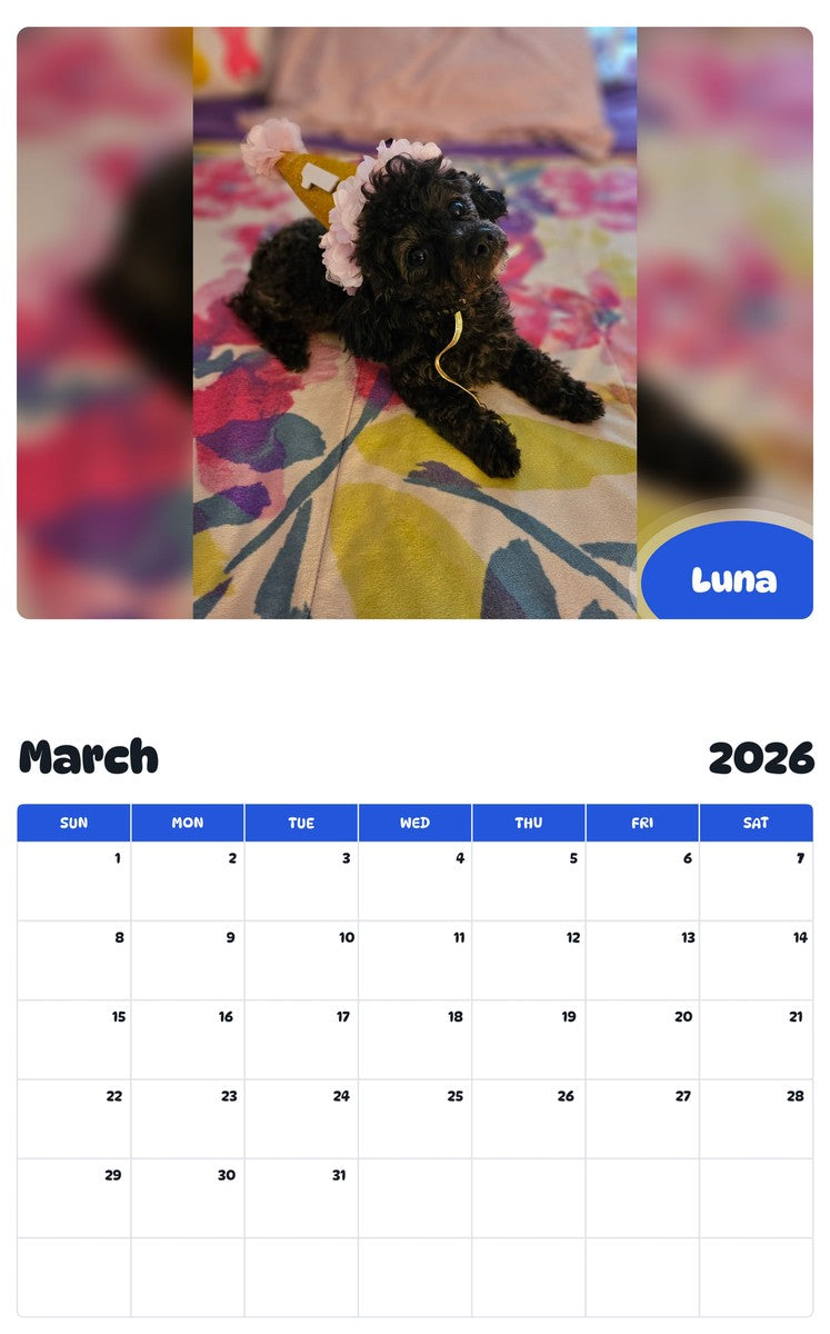 November 2025 - October 2026 Luna - Pawidols Pet Calendar
