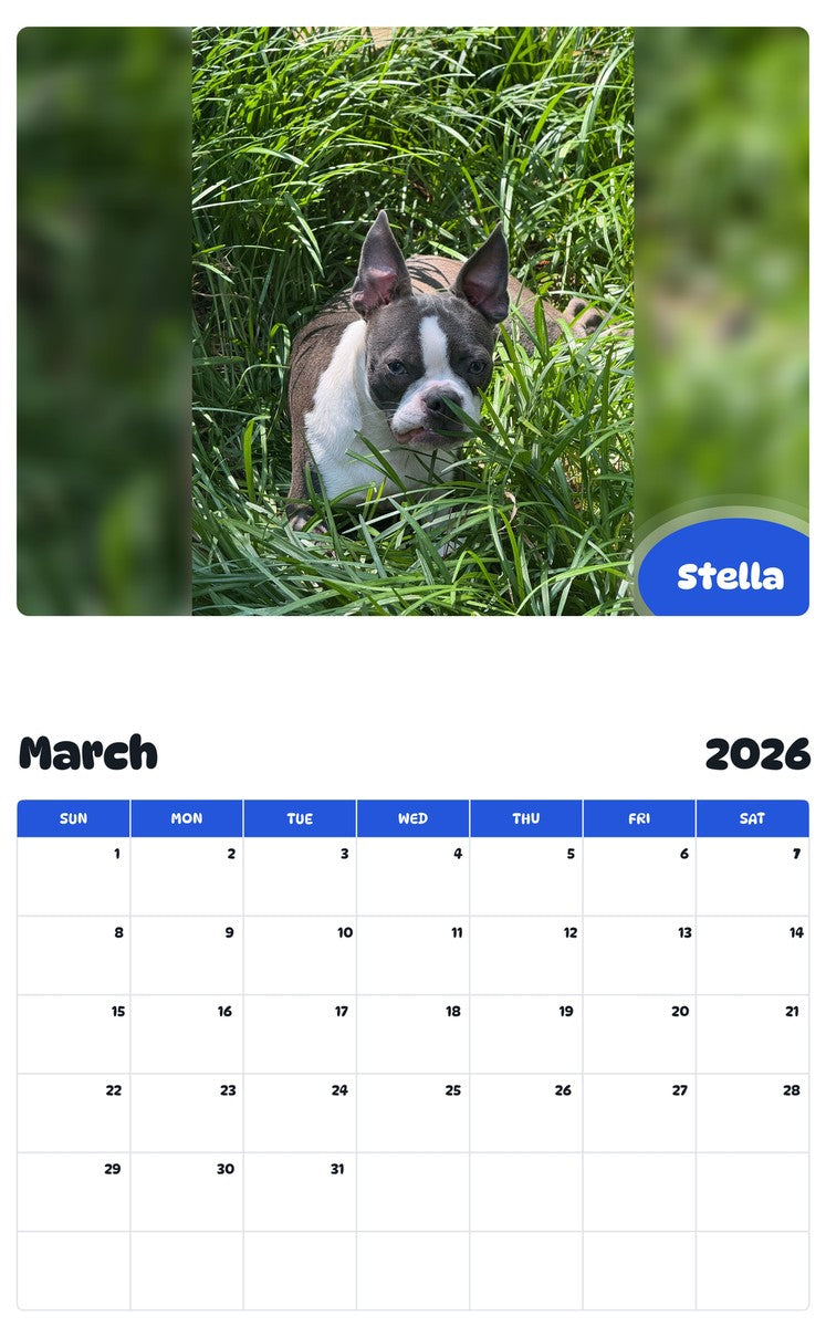 November 2025 - October 2026 Stella - Pawidols Pet Calendar