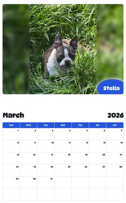 November 2025 - October 2026 Stella - Pawidols Pet Calendar
