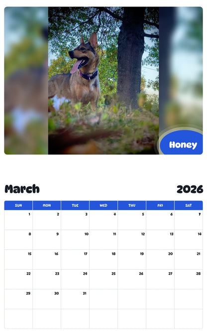 November 2025 - October 2026 Honey - Pawidols Pet Calendar
