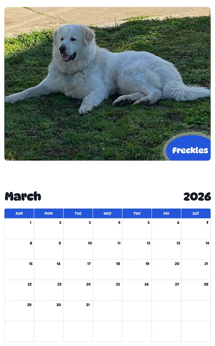 November 2025 - October 2026 Freckles - Pawidols Pet Calendar
