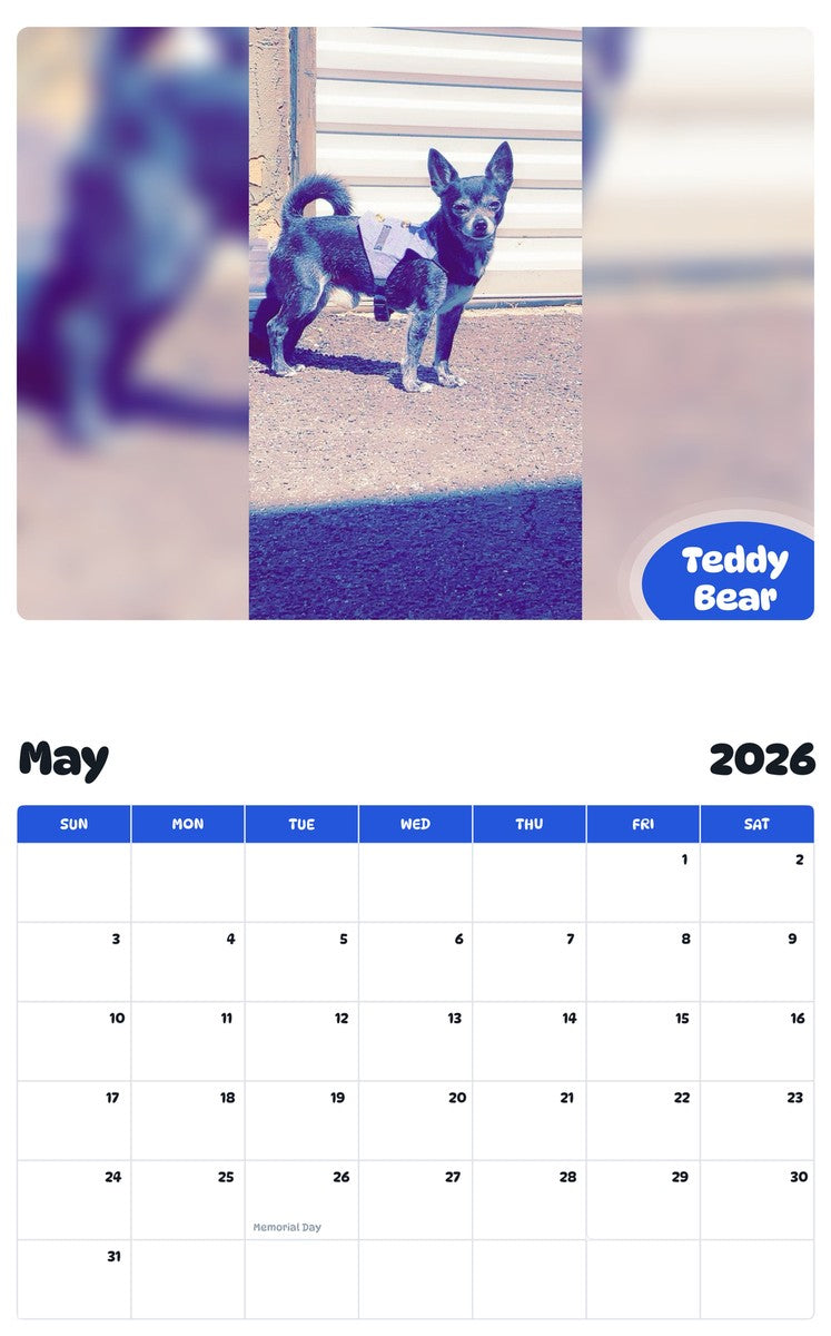2026 - 2027 Teddy Bear - Pawidols Pet Calendar