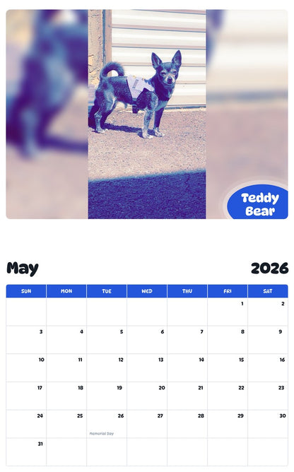 2026 - 2027 Teddy Bear - Pawidols Pet Calendar