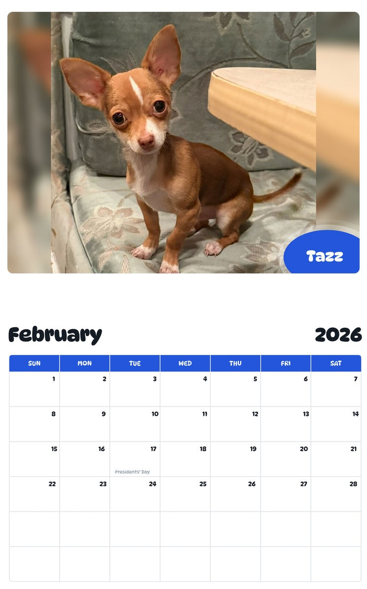 October 2025 - September 2026 Tazz - Pawidols Pet Calendar