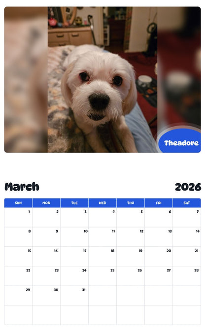 November 2025 - October 2026 Theadore - Pawidols Pet Calendar