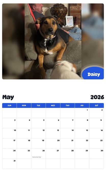 2026 - 2027 Daisy - Pawidols Pet Calendar