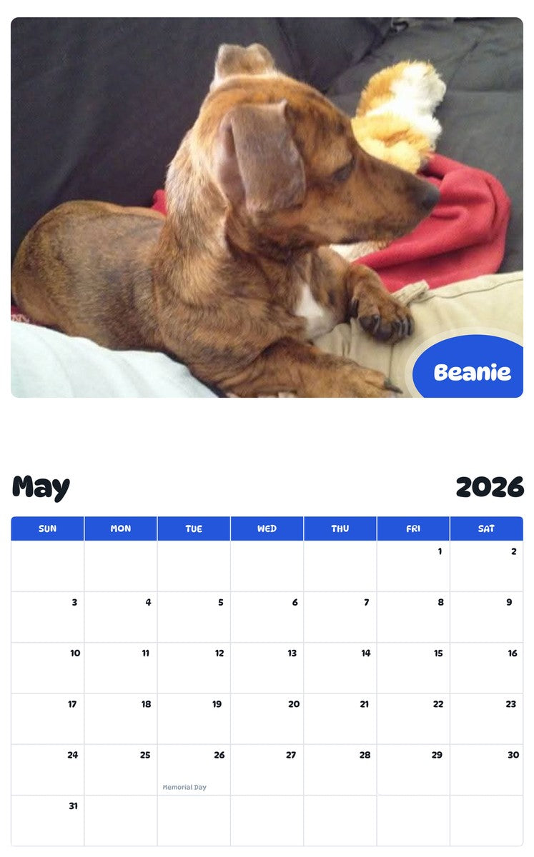 2026 - 2027 Beanie - Pawidols Pet Calendar