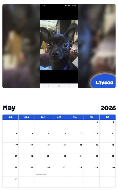 2026 - 2027 Laycee - Pawidols Pet Calendar