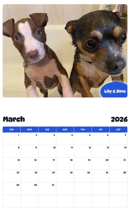 November 2025 - October 2026 Lily & Dino - Pawidols Pet Calendar