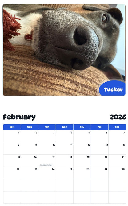 October 2025 - September 2026 Tucker - Pawidols Pet Calendar