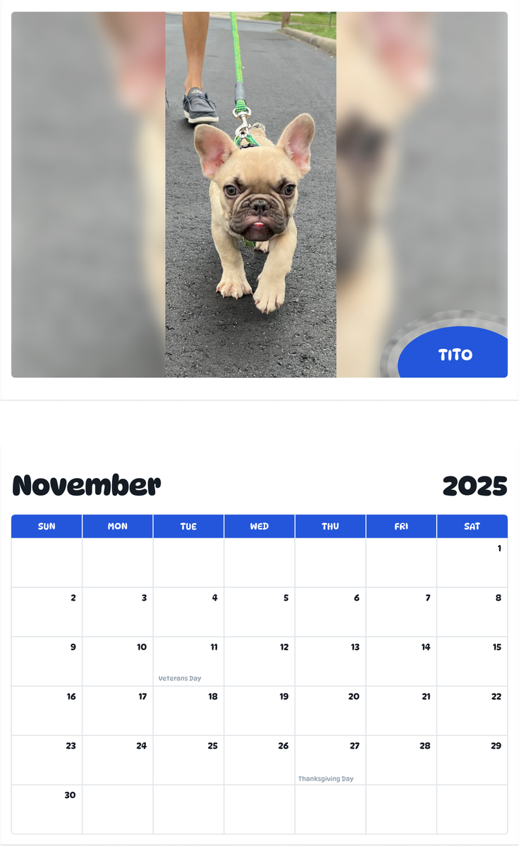 July 2025 - June 2026 Tito - Pawidols Pet Calendar
