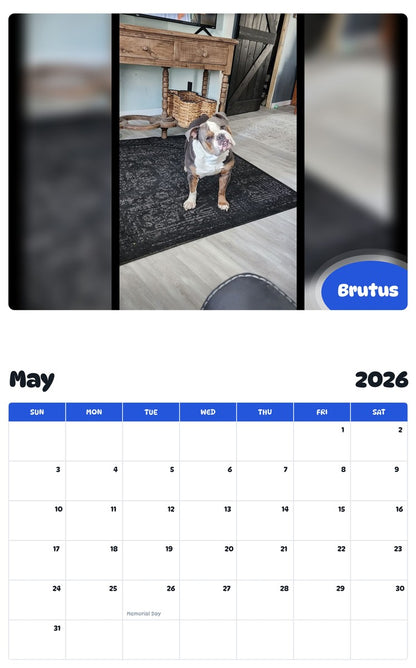 2026 - 2027 Brutus - Pawidols Pet Calendar