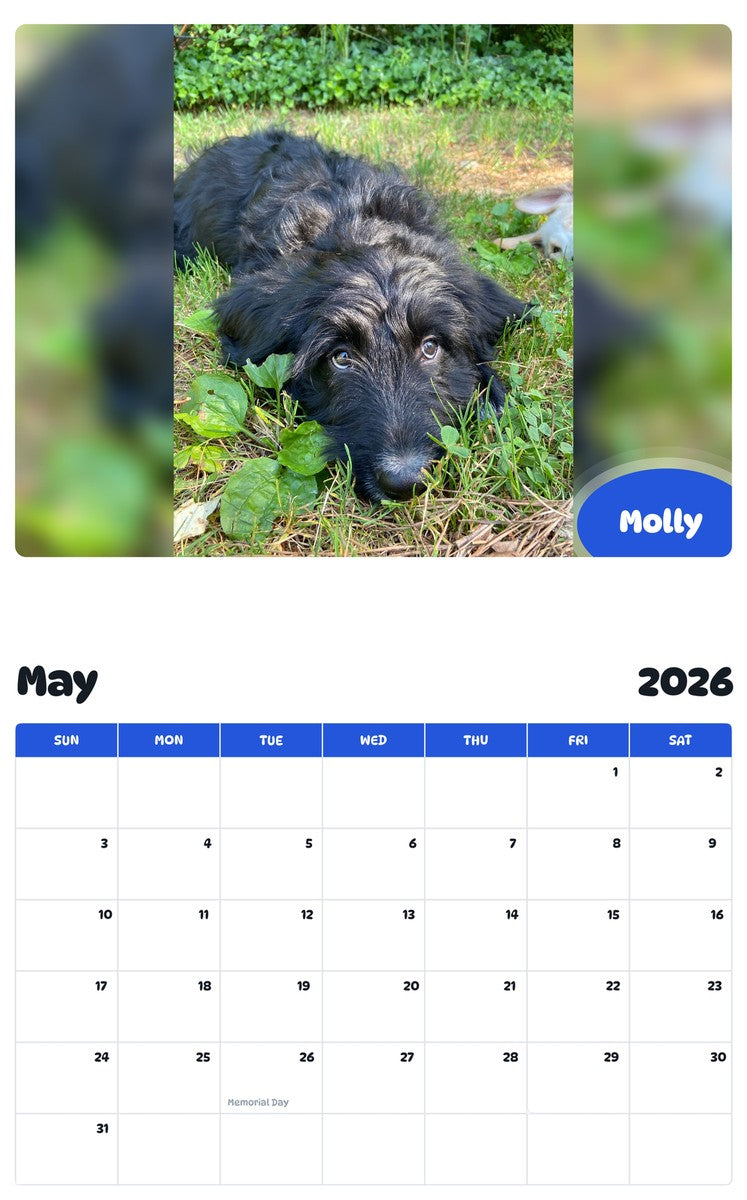 2026 - 2027 Molly - Pawidols Pet Calendar