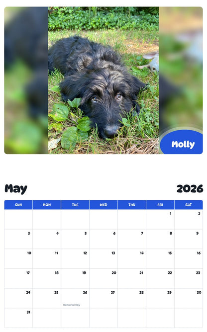 2026 - 2027 Molly - Pawidols Pet Calendar