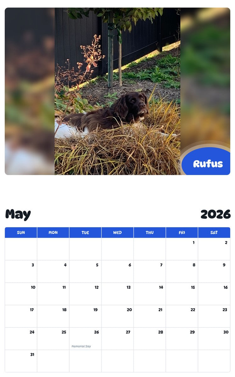 2026 - 2027 Rufus - Pawidols Pet Calendar