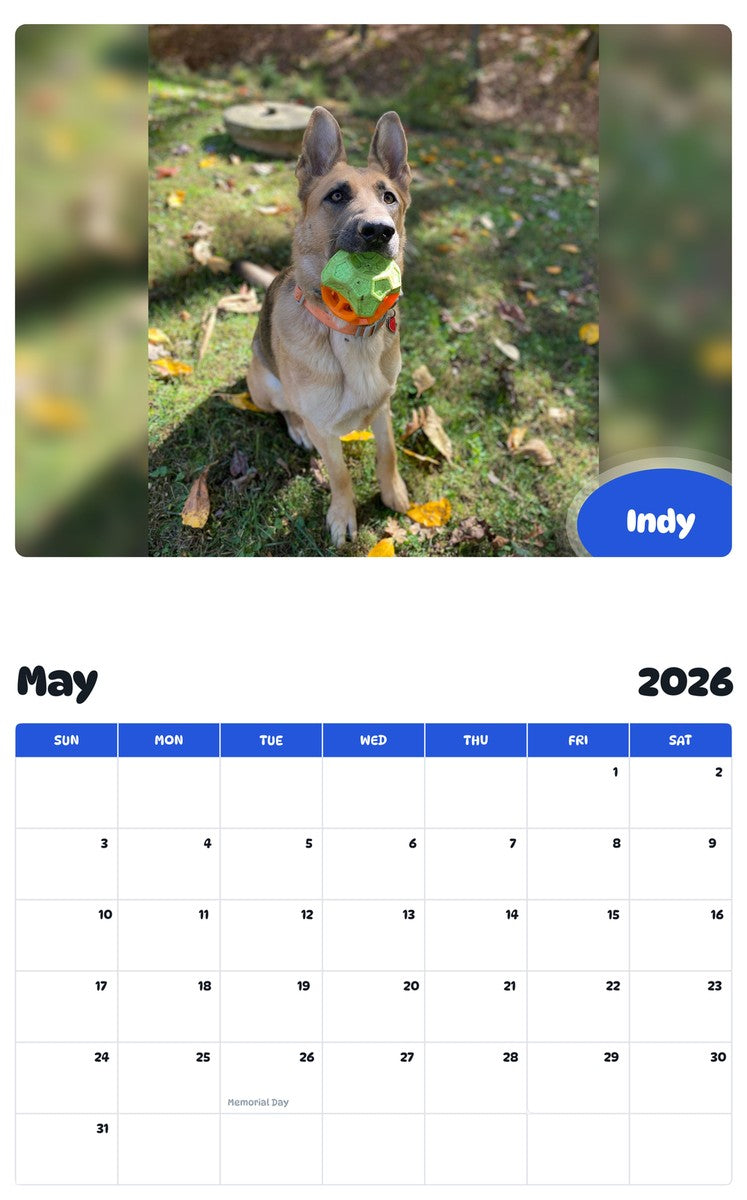 2026 - 2027 Indy - Pawidols Pet Calendar