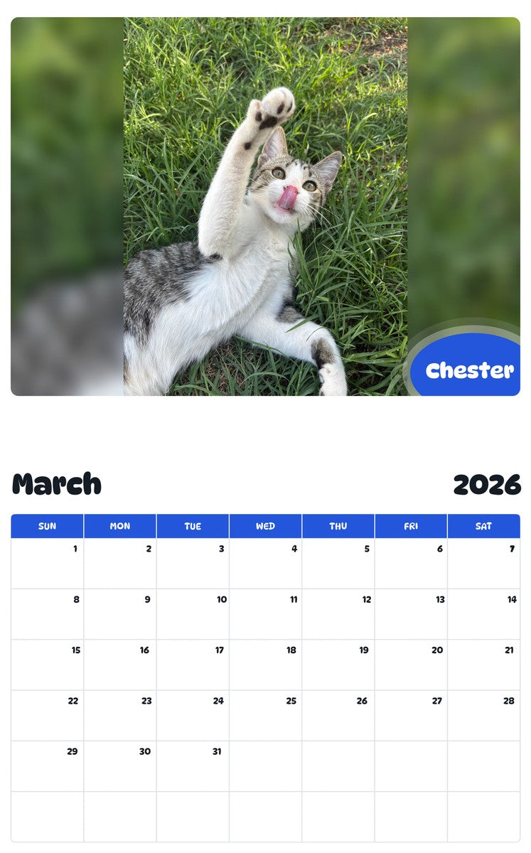 November 2025 - October 2026 Chester - Pawidols Pet Calendar