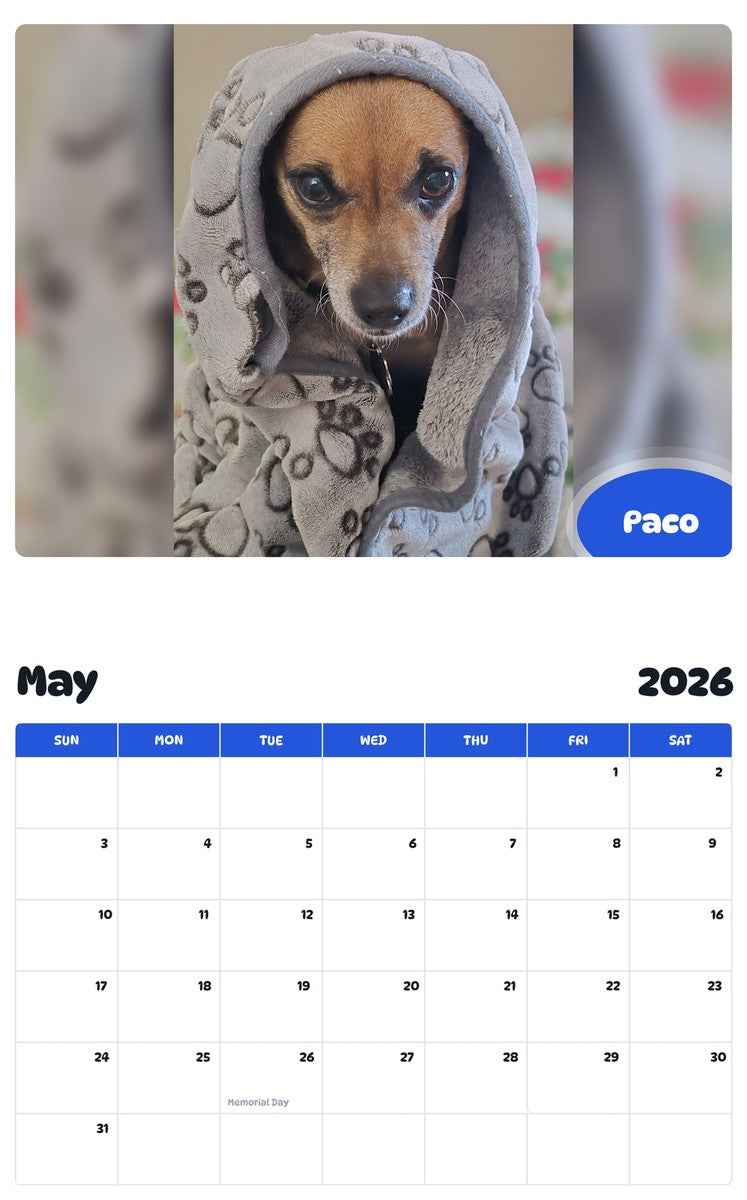 2026 - 2027 Paco - Pawidols Pet Calendar