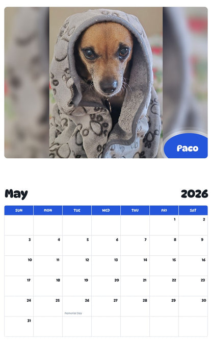 2026 - 2027 Paco - Pawidols Pet Calendar