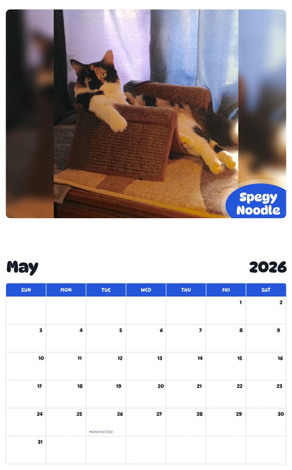 2026 - 2027 Spegy Noodle - Pawidols Pet Calendar