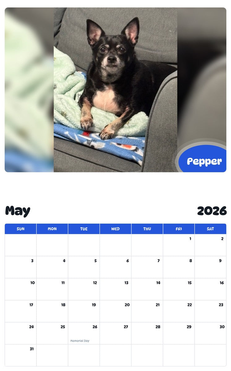 2026 - 2027 Pepper - Pawidols Pet Calendar