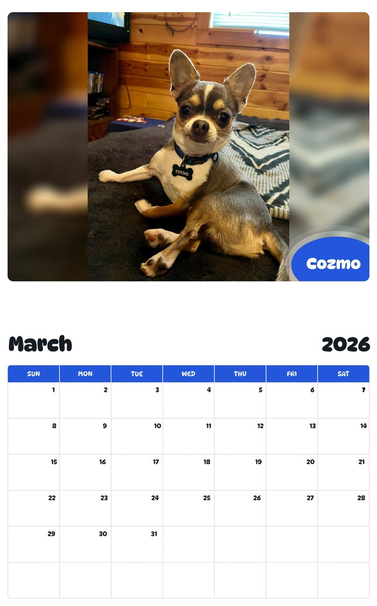 November 2025 - October 2026 Cozmo - Pawidols Pet Calendar