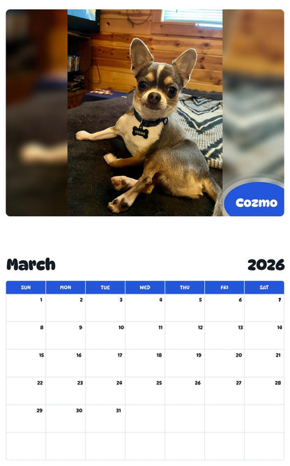November 2025 - October 2026 Cozmo - Pawidols Pet Calendar