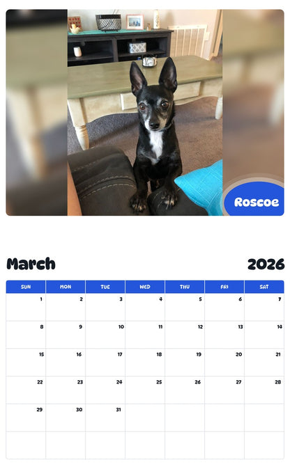 November 2025 - October 2026 Roscoe - Pawidols Pet Calendar