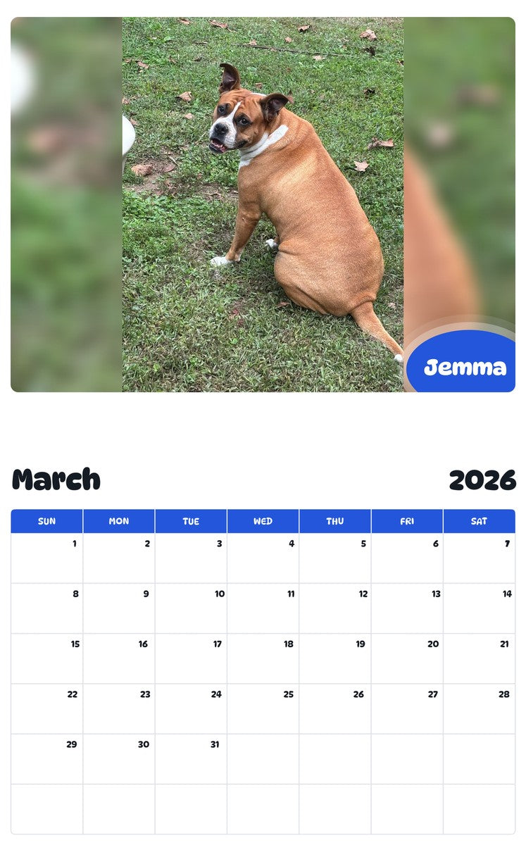 November 2025 - October 2026 Jemma - Pawidols Pet Calendar