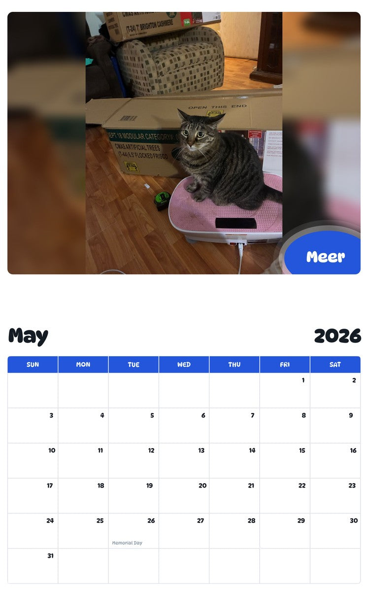 2026 - 2027 Meer - Pawidols Pet Calendar