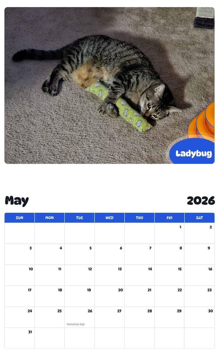 2026 - 2027 Ladybug - Pawidols Pet Calendar