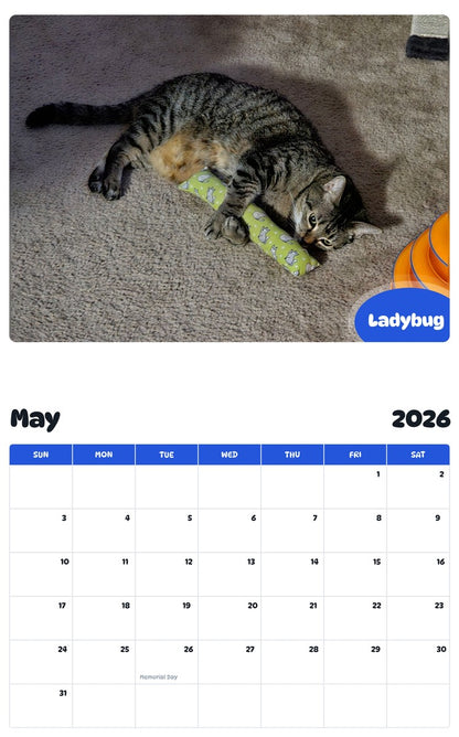 2026 - 2027 Ladybug - Pawidols Pet Calendar