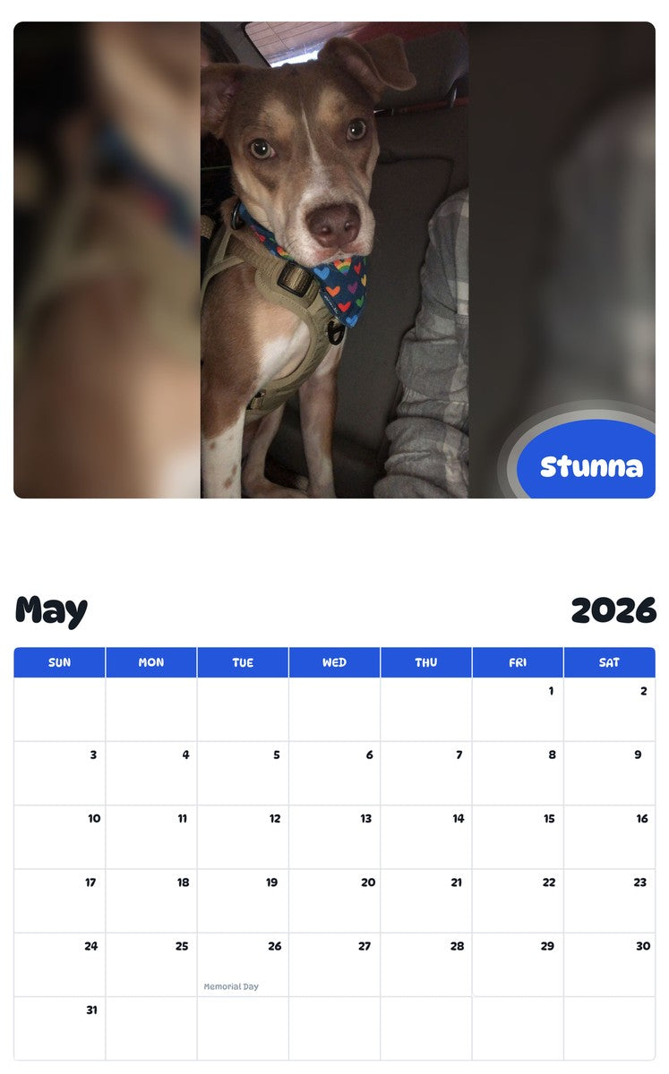 2026 - 2027 Stunna - Pawidols Pet Calendar
