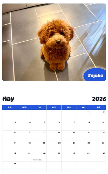 2026 - 2027 Jujube - Pawidols Pet Calendar