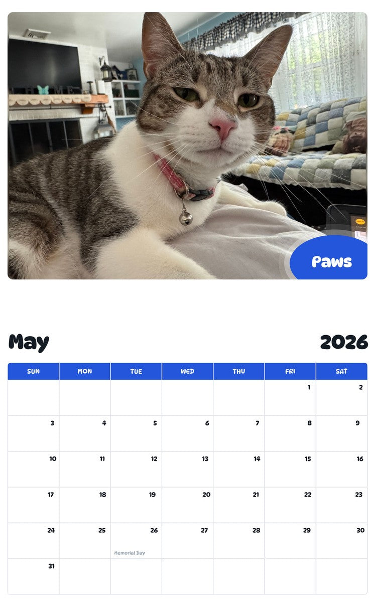 2026 - 2027 Paws - Pawidols Pet Calendar