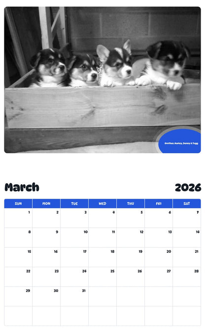 November 2025 - October 2026 Brother, Hurley, Denny & Tugg - Pawidols Pet Calendar