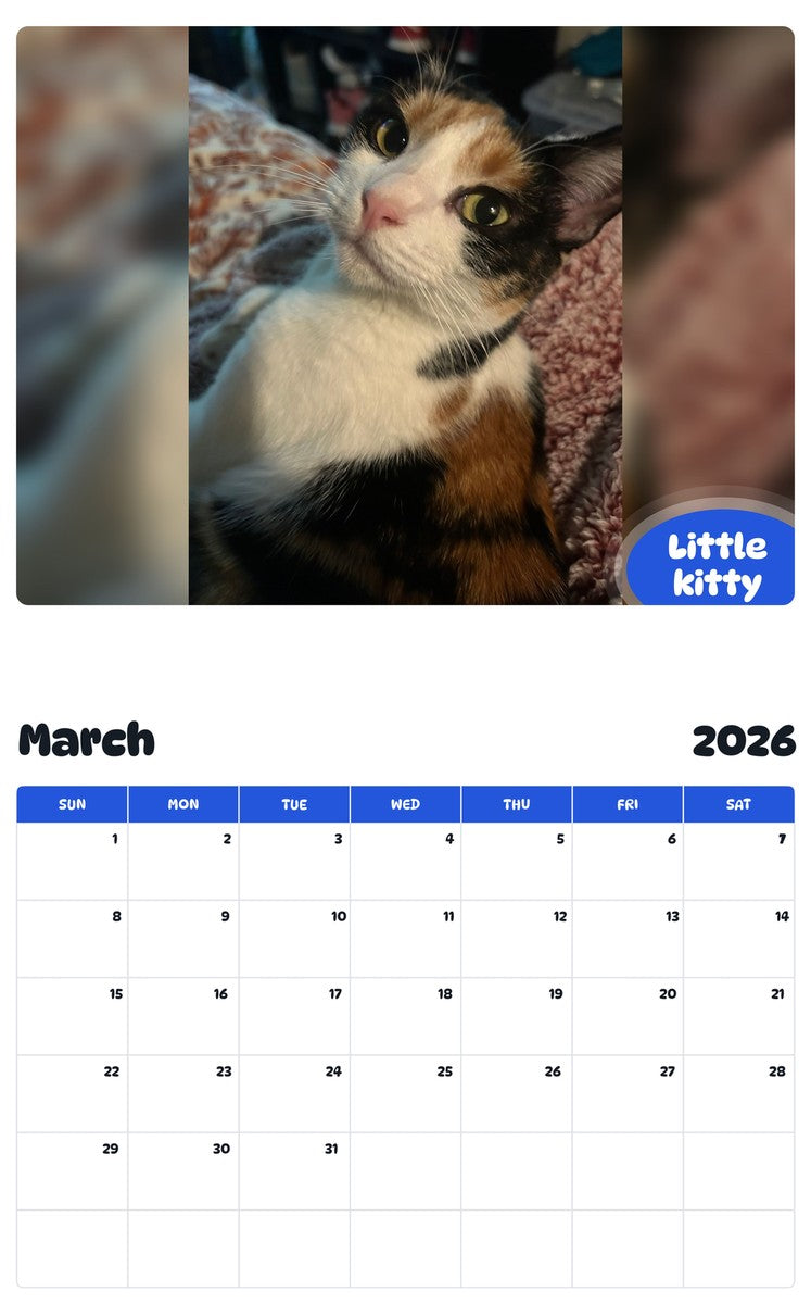 November 2025 - October 2026 Little kitty - Pawidols Pet Calendar