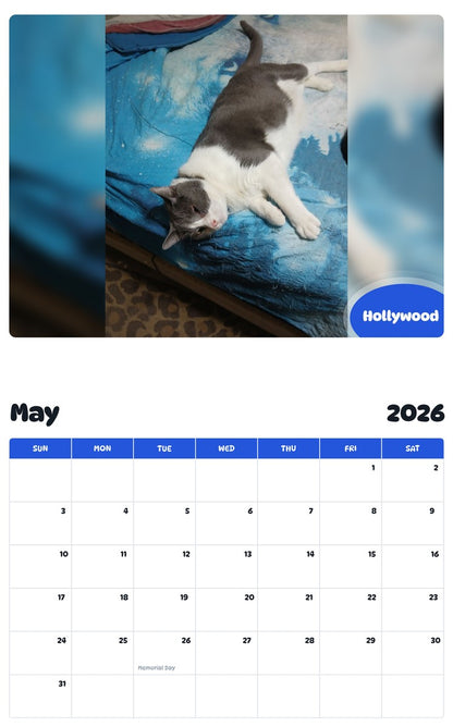 2026 - 2027 Hollywood - Pawidols Pet Calendar
