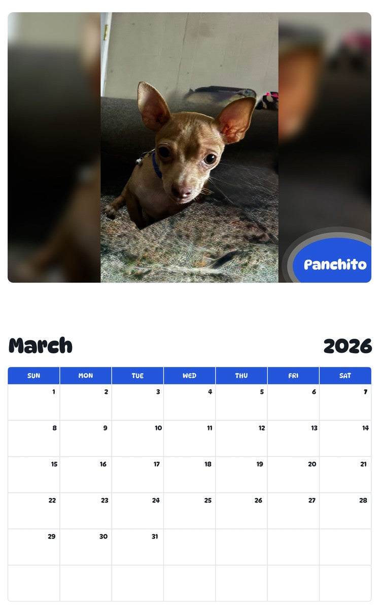 November 2025 - October 2026 Panchito - Pawidols Pet Calendar