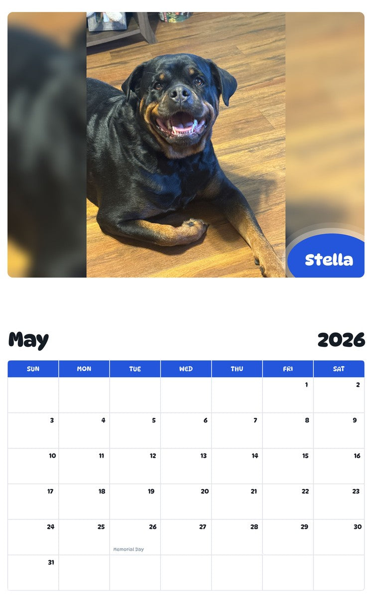 2026 - 2027 Stella - Pawidols Pet Calendar