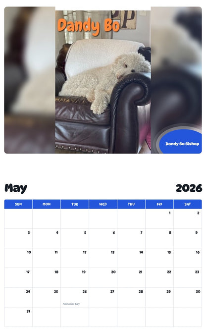 2026 - 2027 Dandy Bo Bishop - Pawidols Pet Calendar