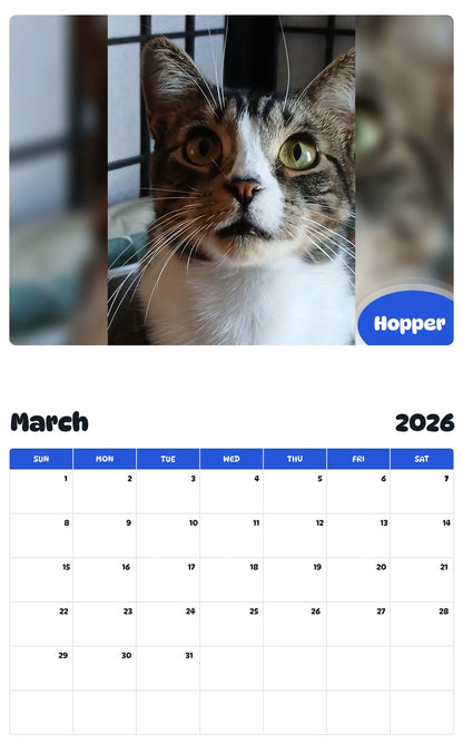 November 2025 - October 2026 Hopper - Pawidols Pet Calendar