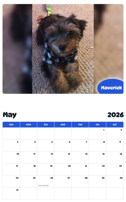 2026 - 2027 Maverick - Pawidols Pet Calendar
