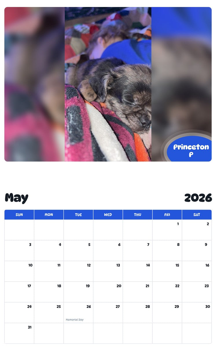 2026 - 2027 Princeton P - Pawidols Pet Calendar
