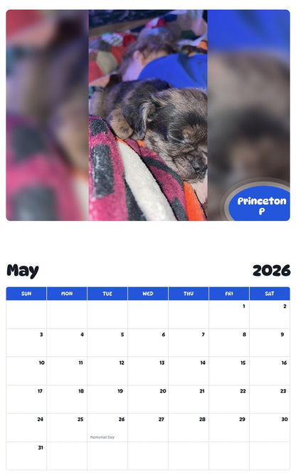 2026 - 2027 Princeton P - Pawidols Pet Calendar